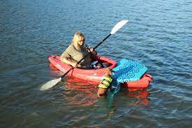 Figure 7: Kayaking with a dog having his life jacket on