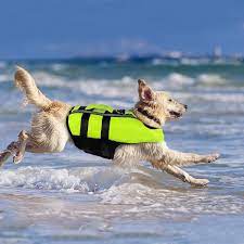 Figure 8: A Dog with an Inflatable Life Jacket