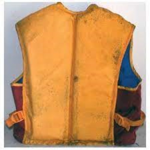 figure 8 molds and mildews in life vest